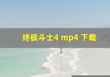 终极斗士4 mp4 下载